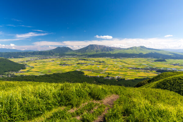 Breathtaking panorama of lush mountains and golden fields at Daikanbo.