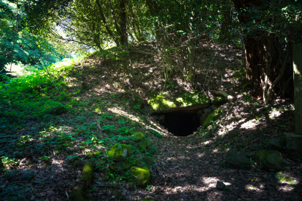 Explore the mysterious Kamikura Tomb hidden in a lush forest shrine.