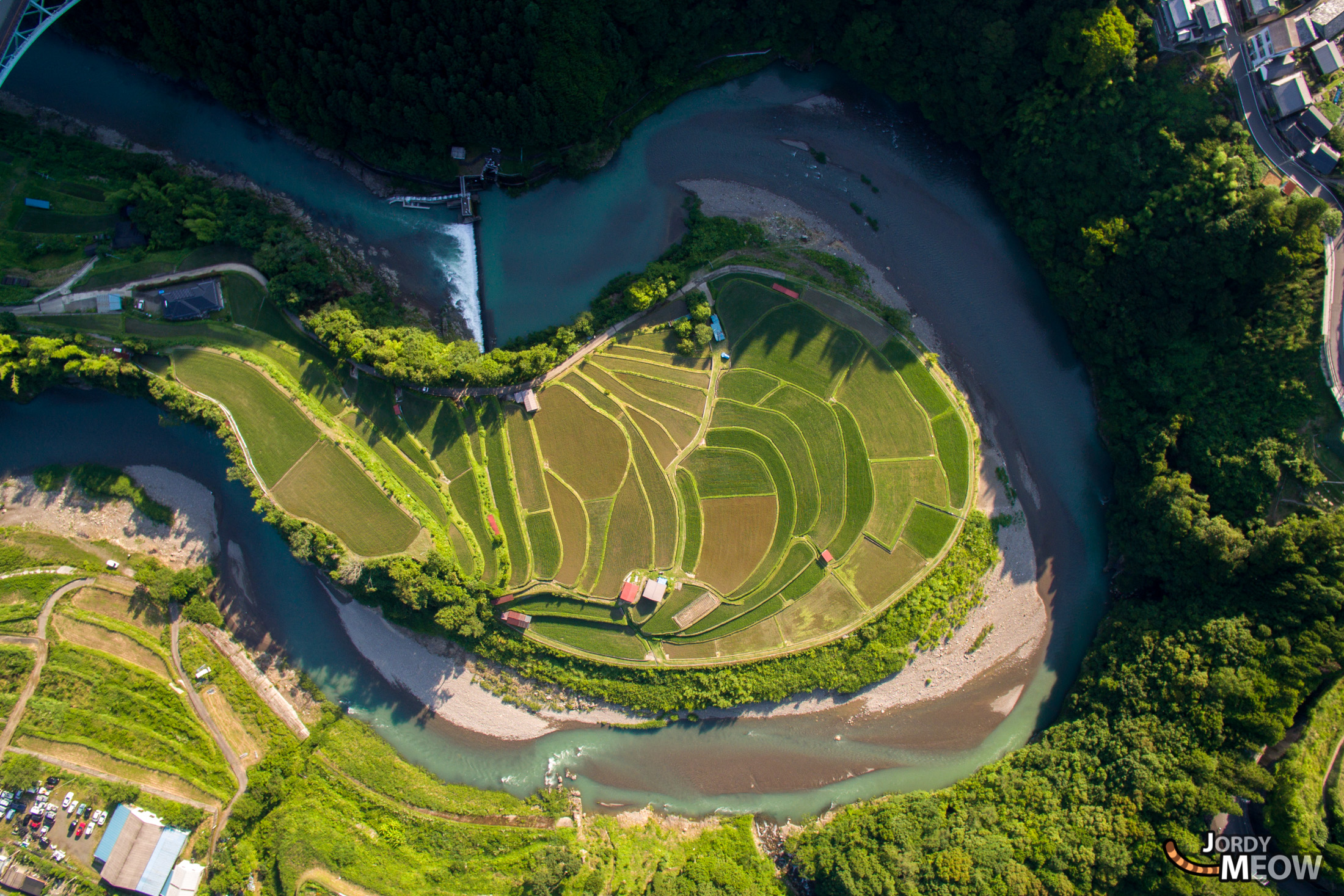 drink, drone, food, japan, japanese, kansai, natural, nature, rice, ricefield, wakayama