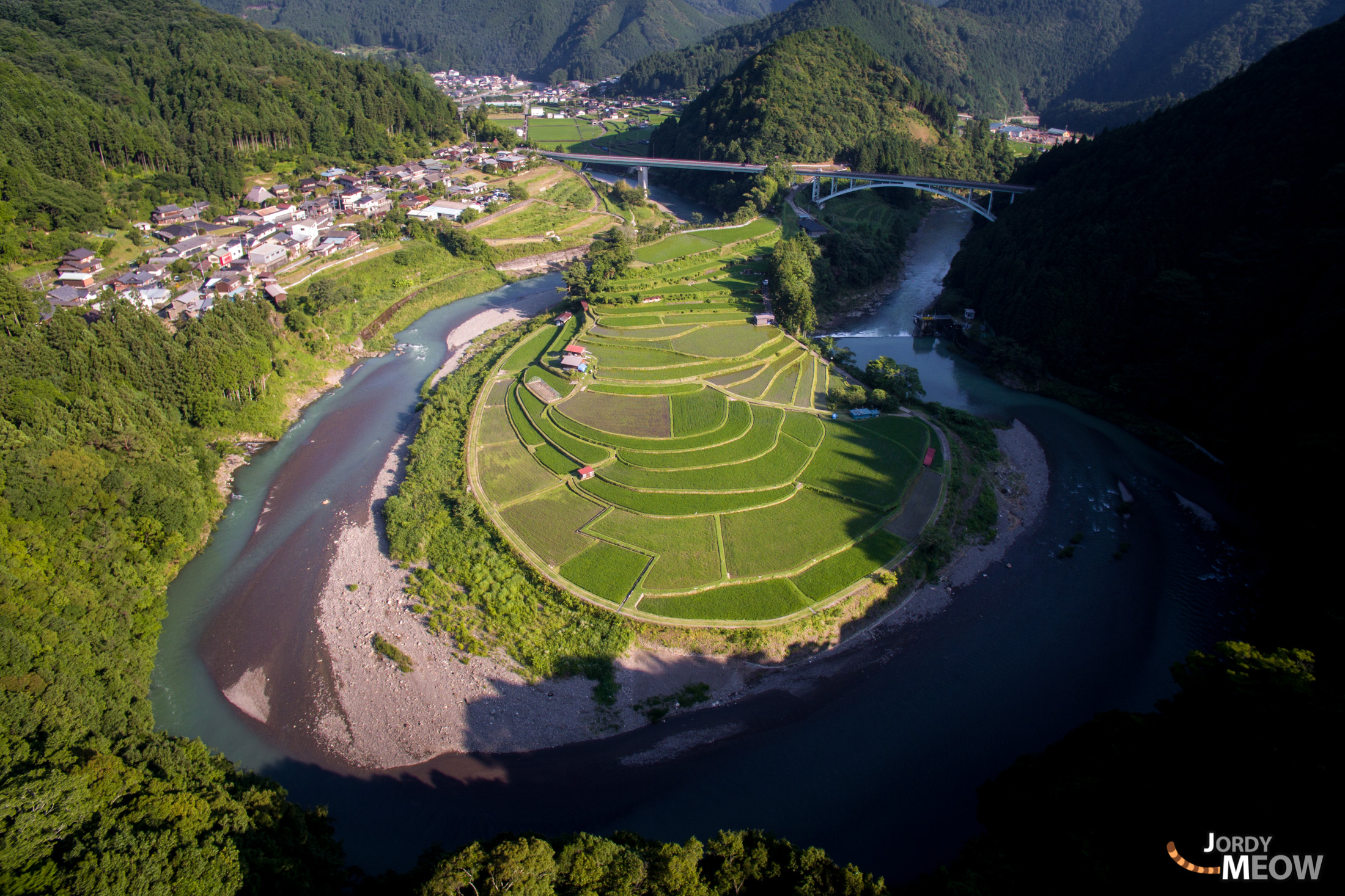 drink, drone, food, japan, japanese, kansai, natural, nature, rice, ricefield, wakayama