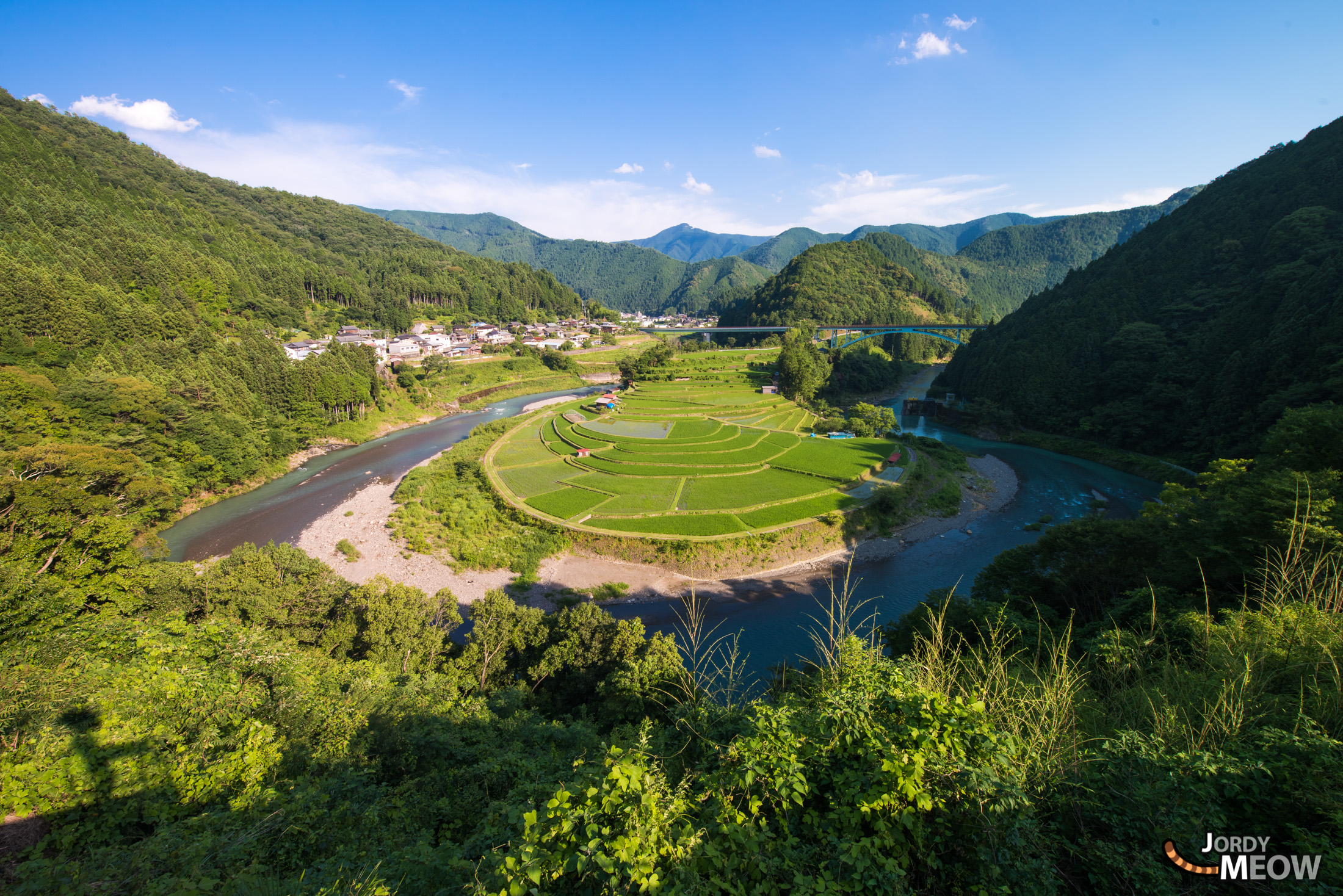 drink, food, japan, japanese, kansai, natural, nature, rice, ricefield, wakayama