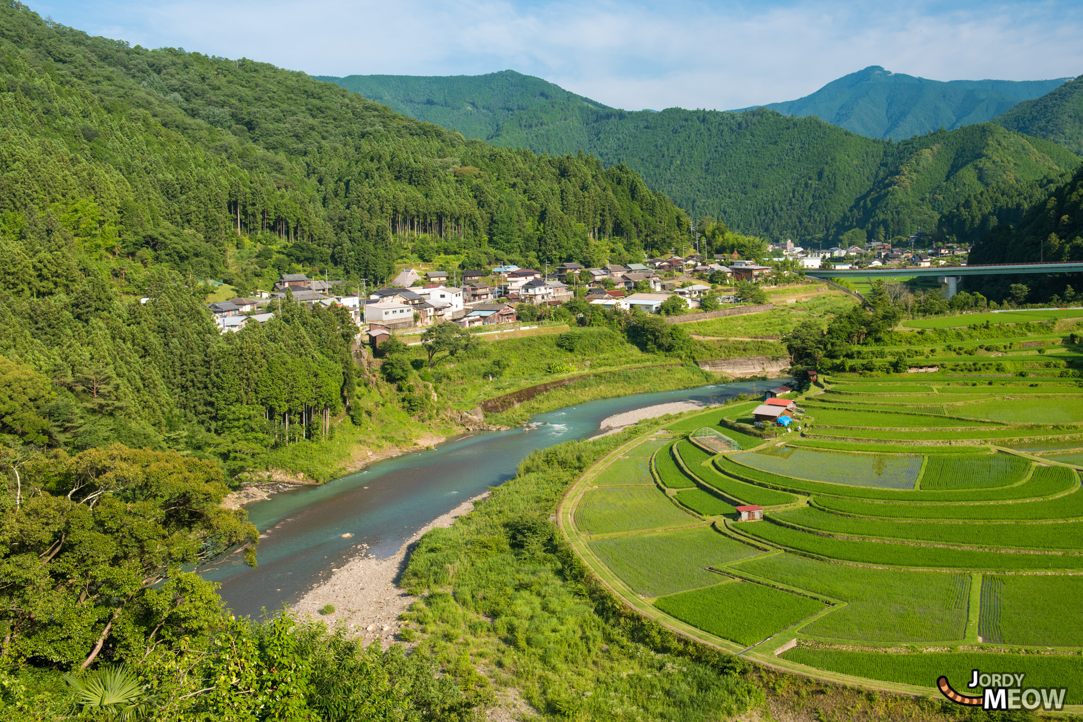 drink, food, japan, japanese, kansai, natural, nature, rice, ricefield, wakayama