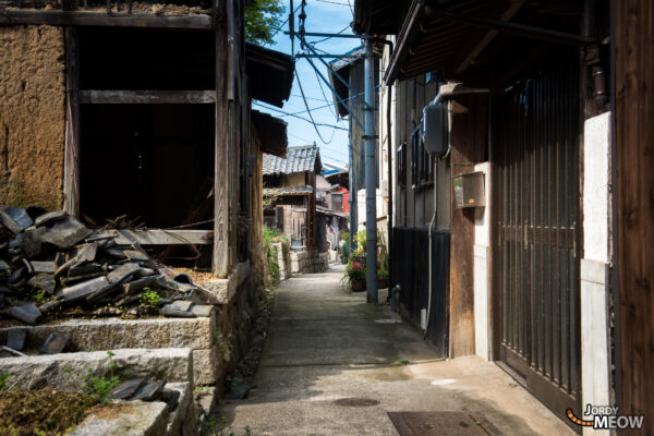 Tranquil Japanese island oasis: Manabe-shima, with cats, history, and charm.