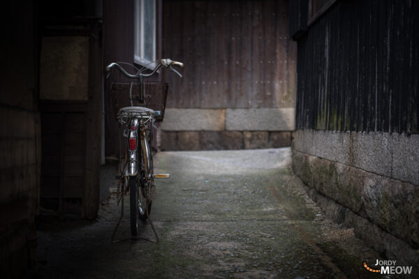 Enchanting Japanese island oasis with more cats than humans, capturing timeless traditions and charm.