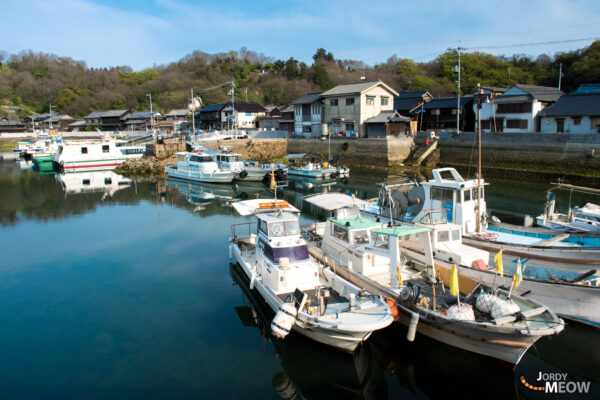 Tranquil retreat: Manabe-shima, Japans charming island with history, cats, and friendly locals.