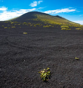 Discover the raw beauty of Oshima Islands volcanic landscape with Mt. Miharas dramatic crater.