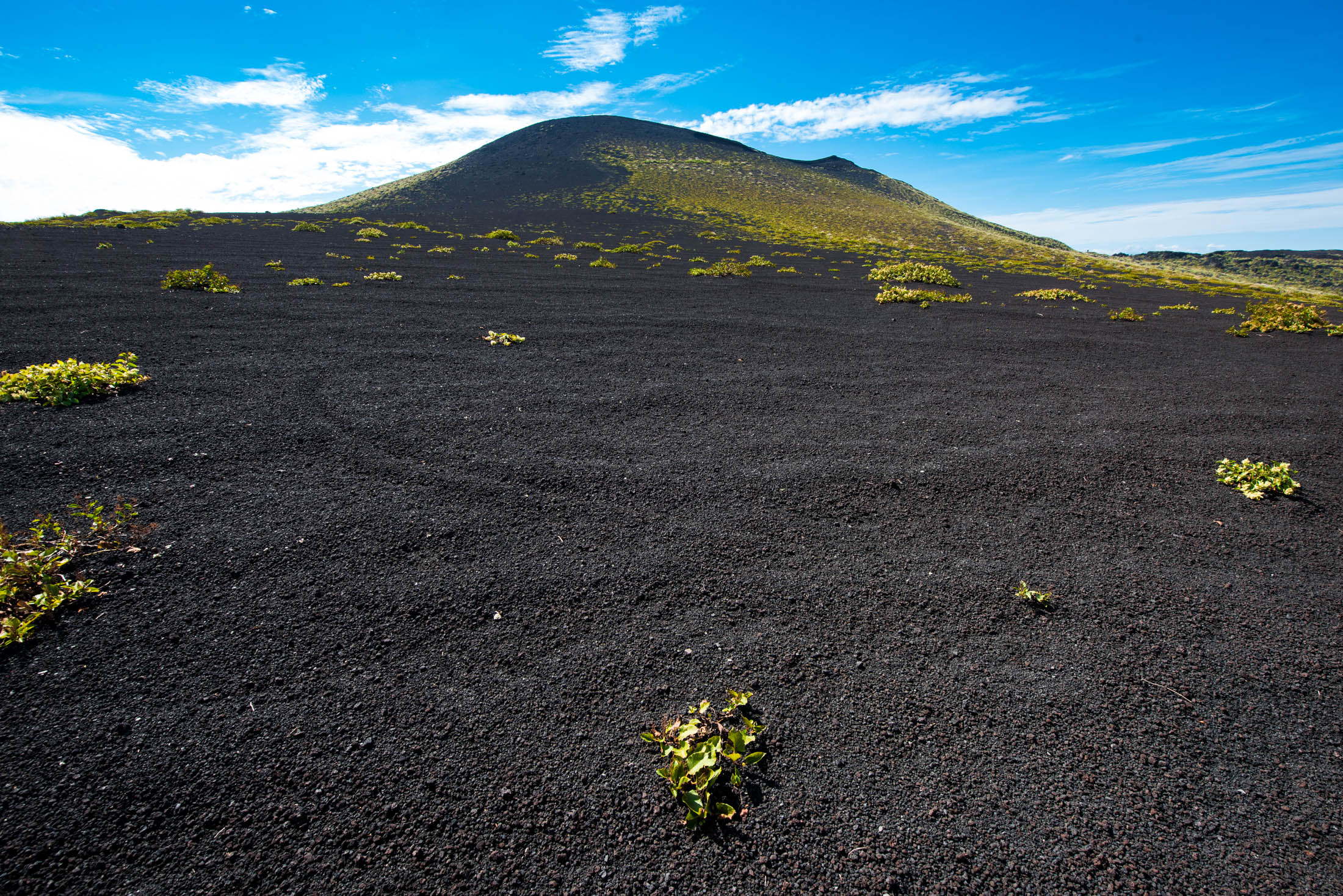 Discover the raw beauty of Oshima Islands volcanic landscape with Mt. Miharas dramatic crater.