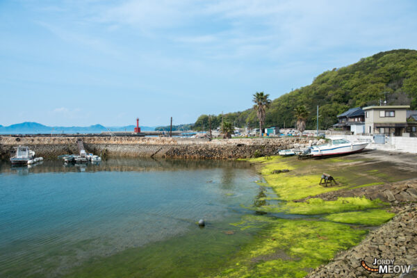 Enchanting Cat Island Gem in Japan: Historical town, lush landscape, and serene ambiance.