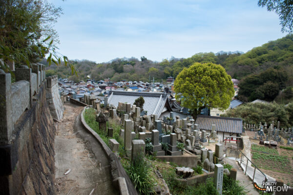 Explore the enchanting Manabe Island in Japan, a tranquil haven with a rich cultural heritage.