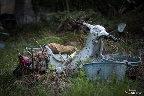 Explore the abandoned beauty of Manabe-shima, Japan, where nature takes over old structures.