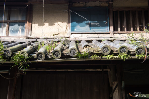 Discover the allure of Manabe-shima: an abandoned island in Japan with a mysterious history.