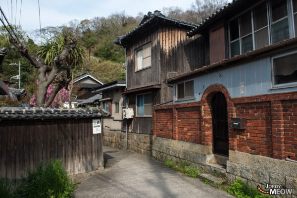 Enchanting Island of Cats: Manabe-shima - Historic village, old temple, charming atmosphere.