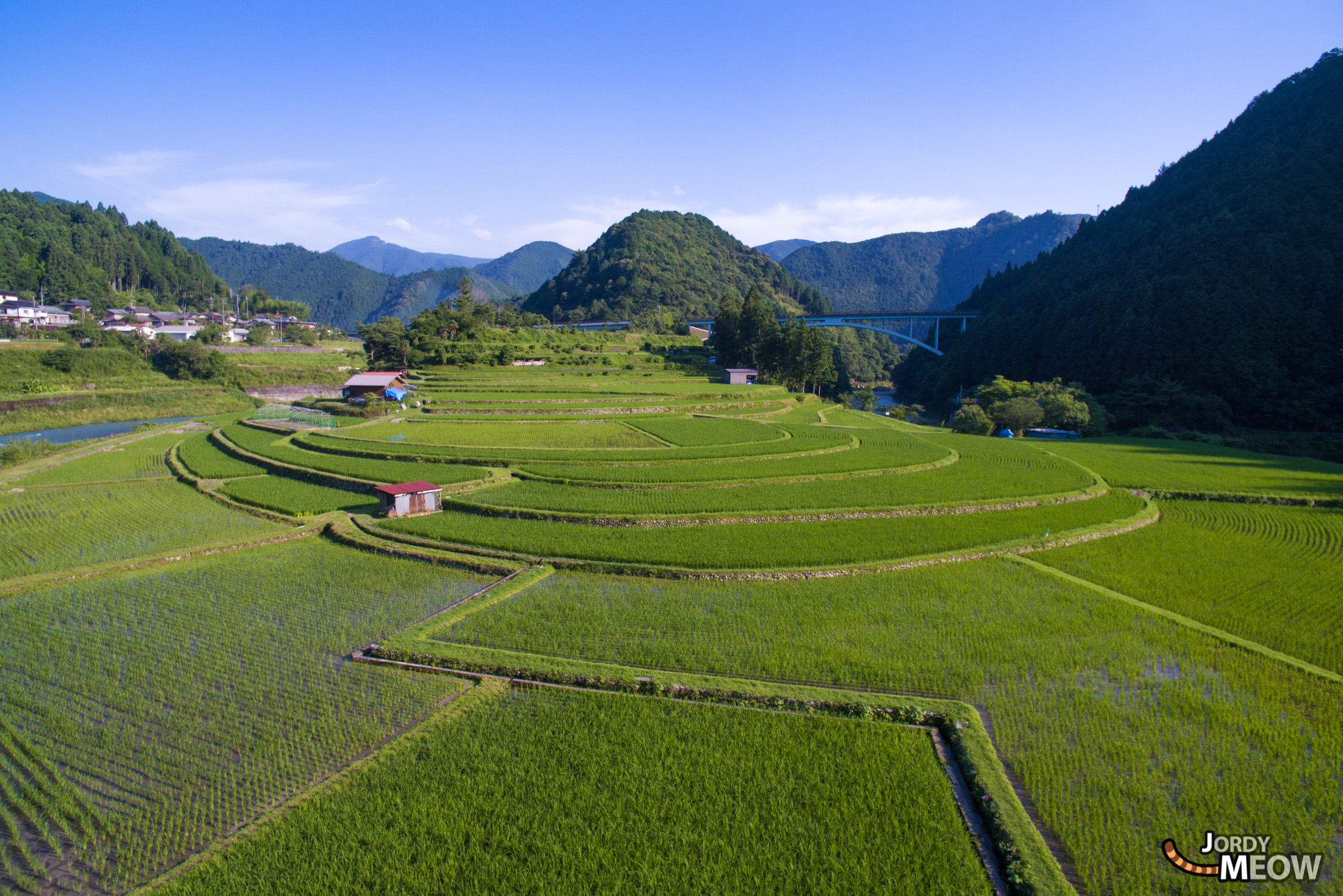 drink, drone, food, japan, japanese, kansai, natural, nature, rice, ricefield, wakayama