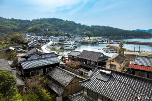 Tranquil Oasis: Explore Japans Manabe-shima, a charming island with friendly locals and lush landscapes.