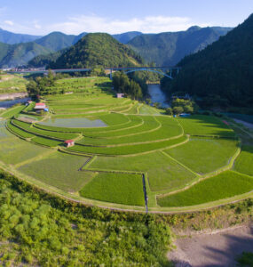 Tranquil Aragi Island rice terraces in picturesque Wakayama, Japan.