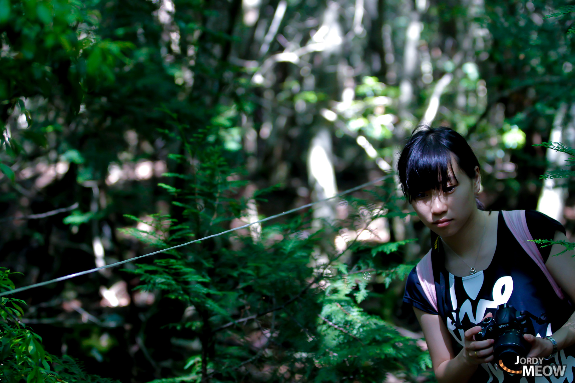 Jing, aokigahara, chinese, chubu, forest, japan, japanese, natural, nature, people, yamanashi