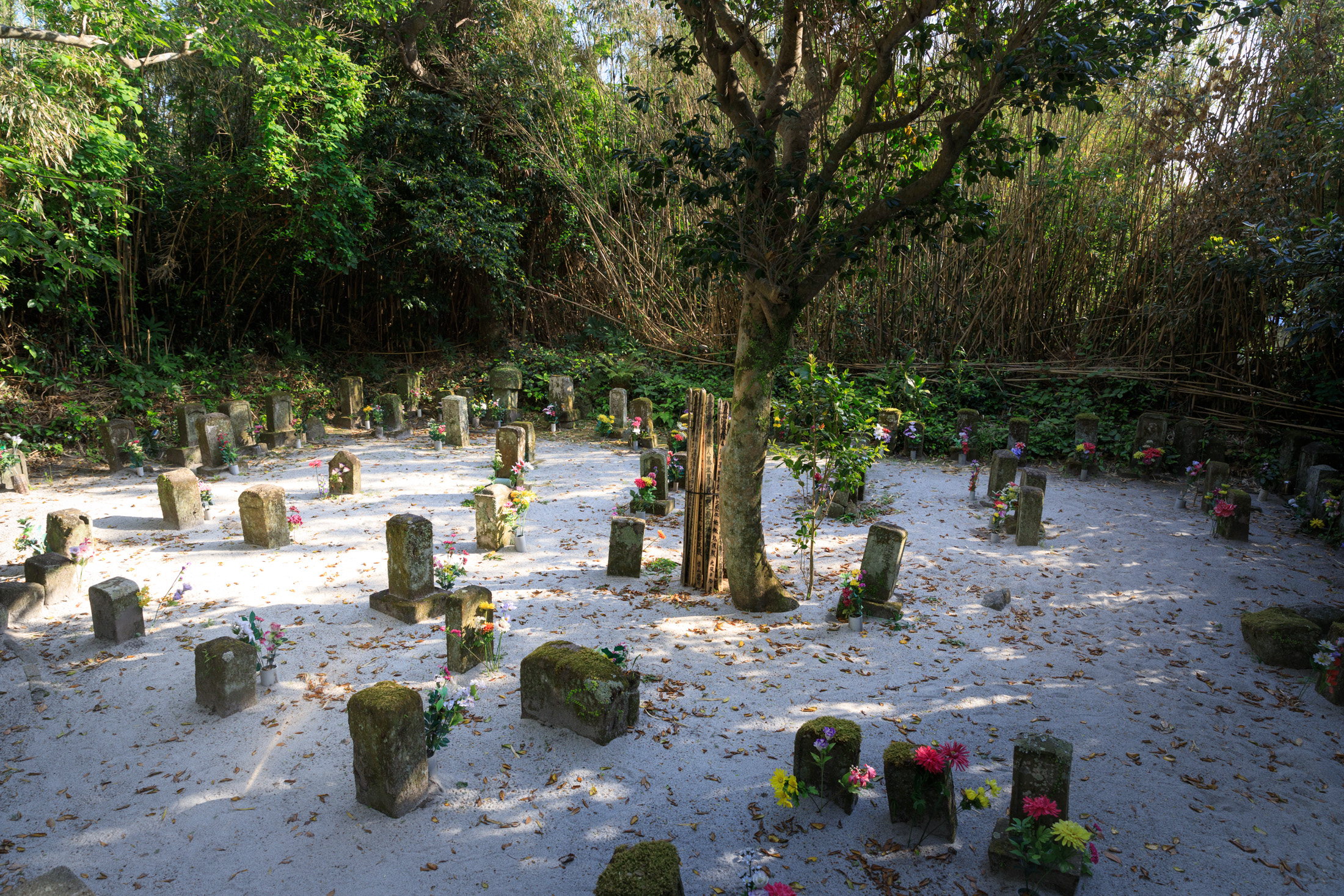 cemetery, niijima