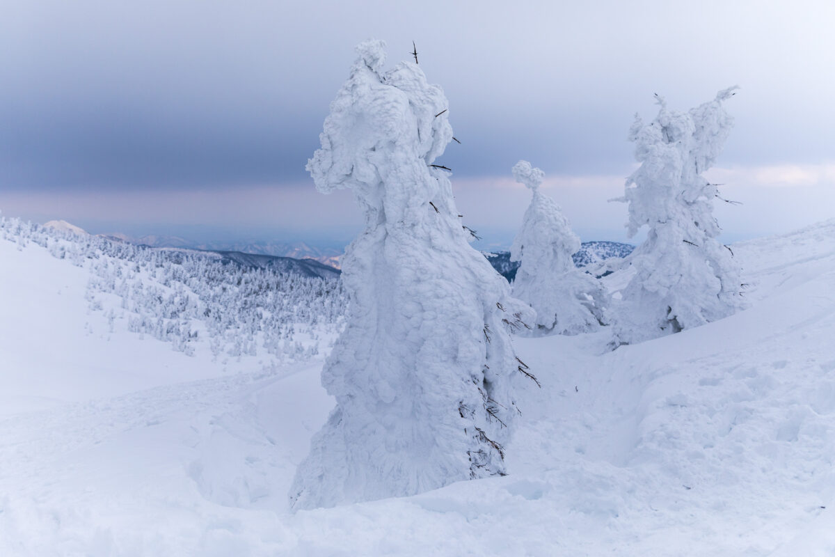 Zao Snow Monsters