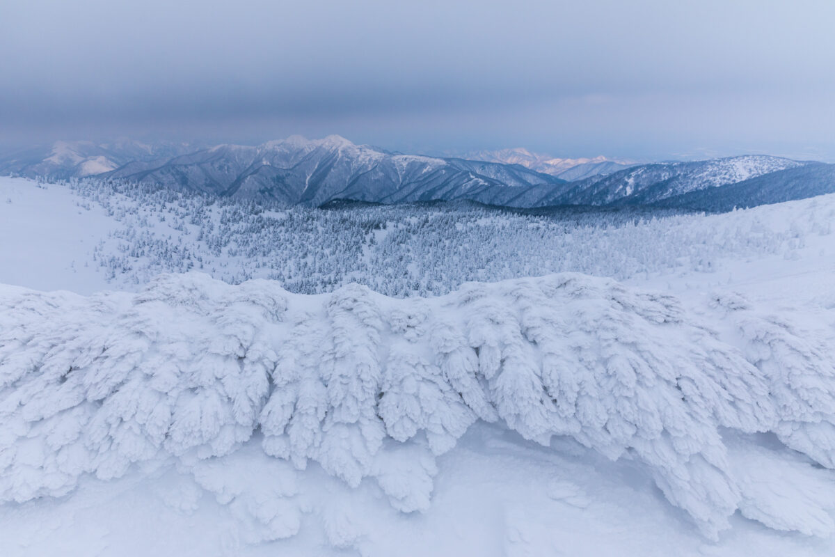 Zao Snow Monsters