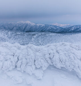 Enchanting Zao Snow Monsters, Twisted Winter Wonderland