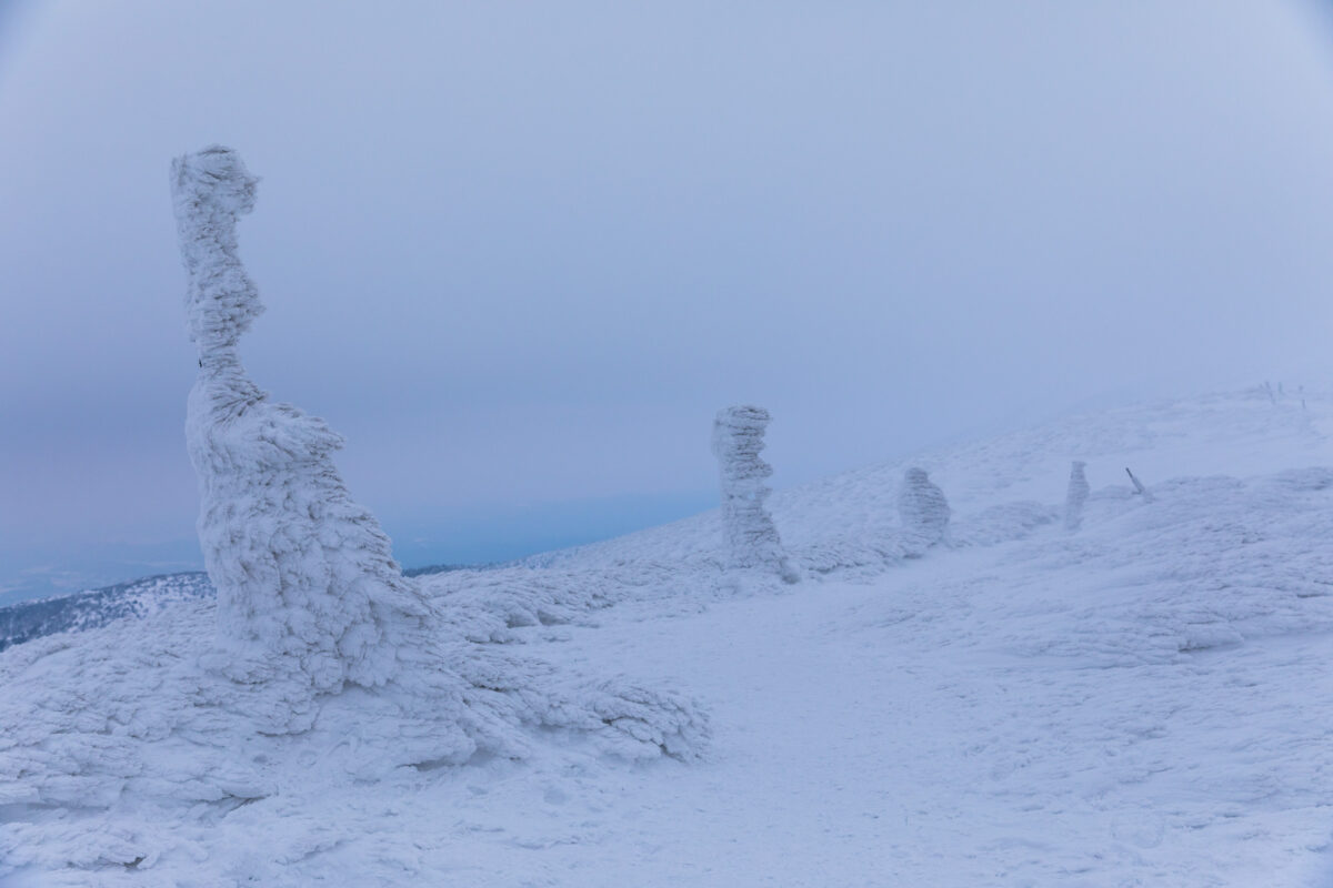 Zao Snow Monsters