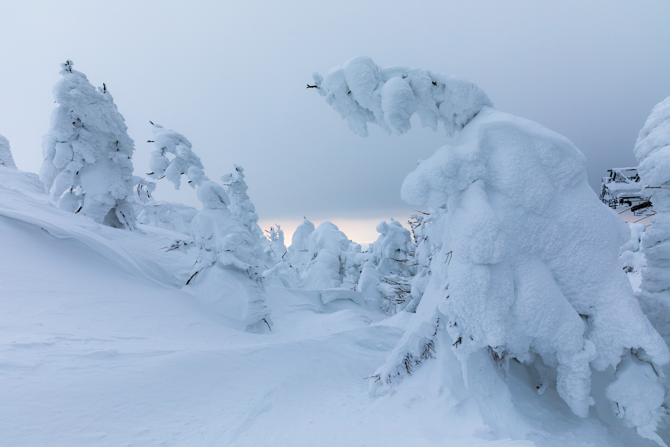 Zao Snow Monsters