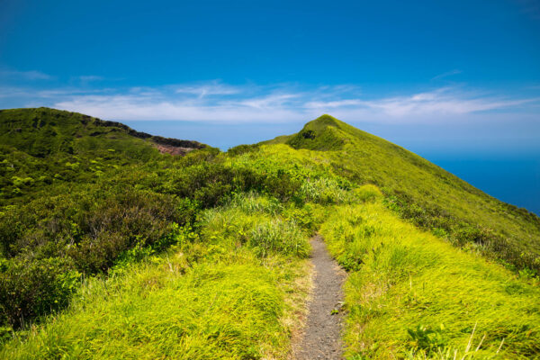 Lush hiking trail, Mt. Hachijo-Fuji, Tokyo Islands