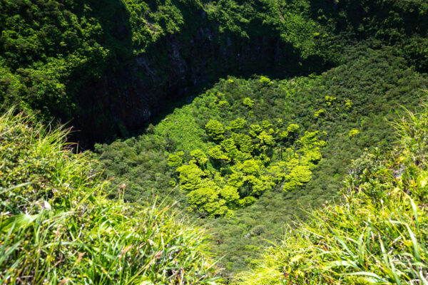 Volcanic Mount Hachijo-Fuji Trail, Lush Tokyo Island