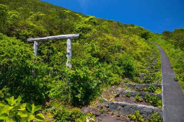 Lush Hiking Trail, Mt. Hachijo-Fuji Volcanic Peak