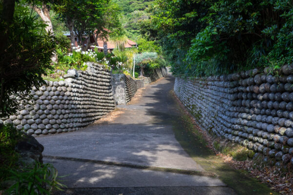 Tranquil Japanese stone path amidst lush greenery