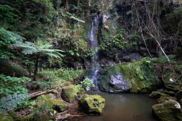 Tranquil Uramigataki Waterfall Cascading Through Verdant Forest