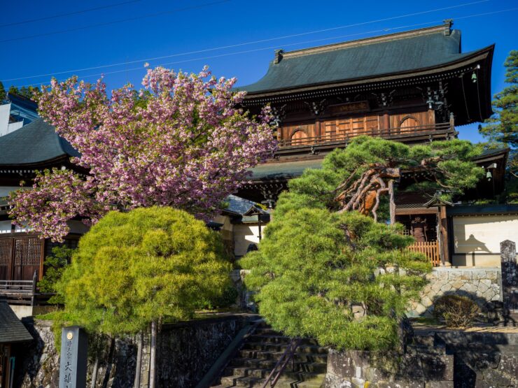 Serene Higashiyama garden path, Kyoto cherry blossoms