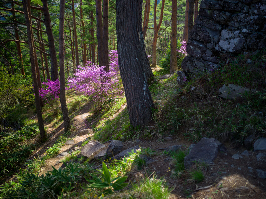 Matsukura Castle