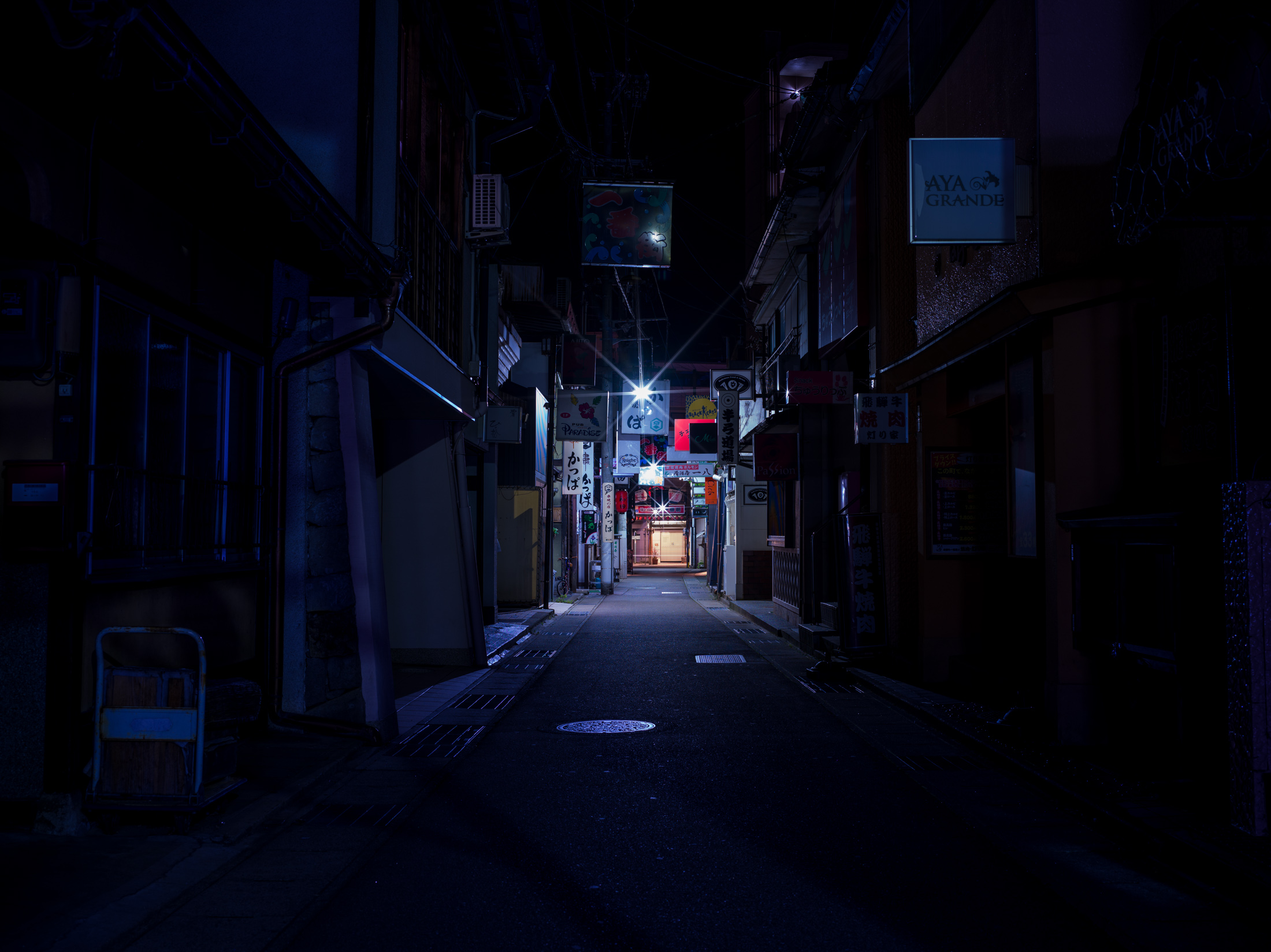 Neon-Lit Shinjuku Alleyway