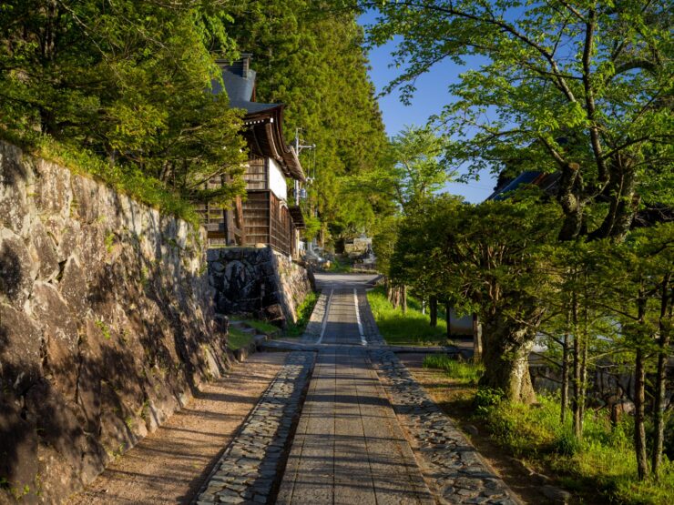 Peaceful Higashiyama Nature Trail, Kyotos Serene Escape