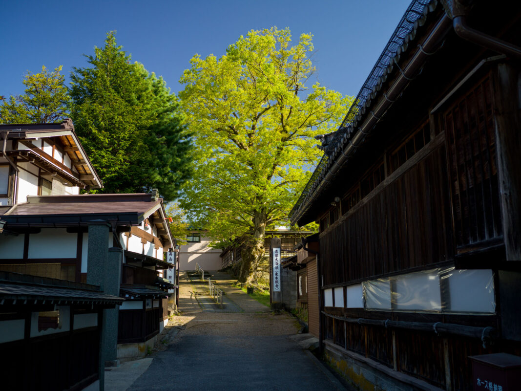 Enakogawa River