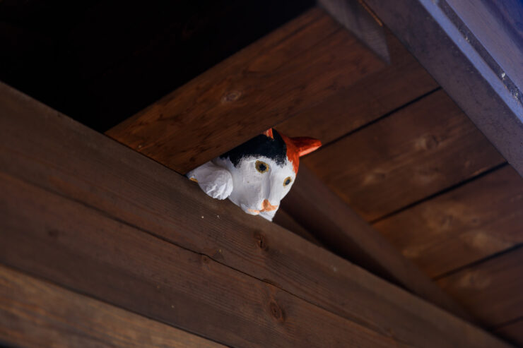 Cat observes historic Japanese street scene.