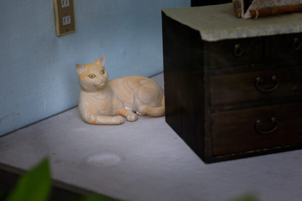 Cozy interior with charming cat, rustic furnishings.