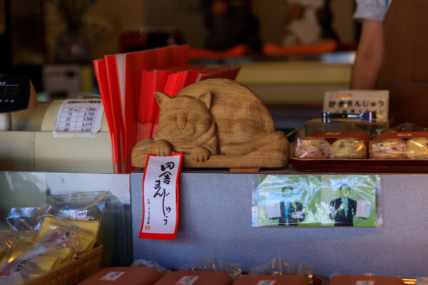 Charming Inami Yokamachi cat shop display.