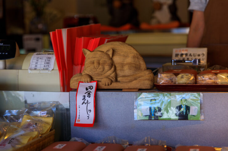 Charming Inami Yokamachi cat shop display.