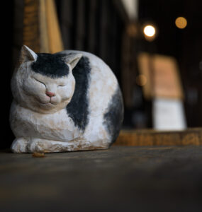 Cozy Japanese neighborhood street cat nap