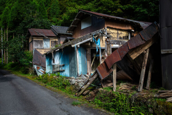 Decaying Wooden Cabin Consumed by Verdant Wilderness