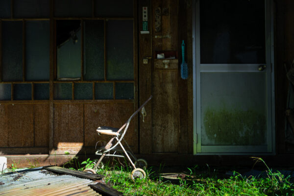 Dilapidated shed natures conquest, rustic relic