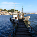 Tranquil Japanese Coastal Town with Historic Pier