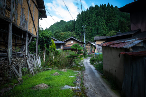 Traditional Japanese village path amidst nature