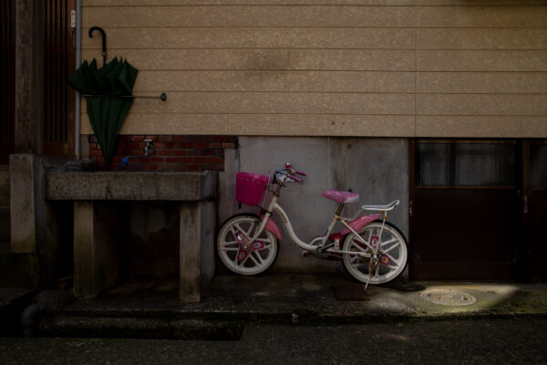 Tranquil Japanese village street scene