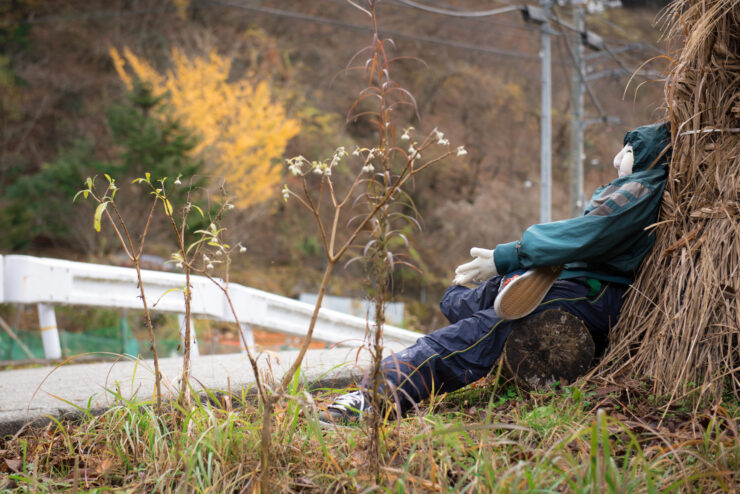 Abandoned village revived by haunting doll installations.