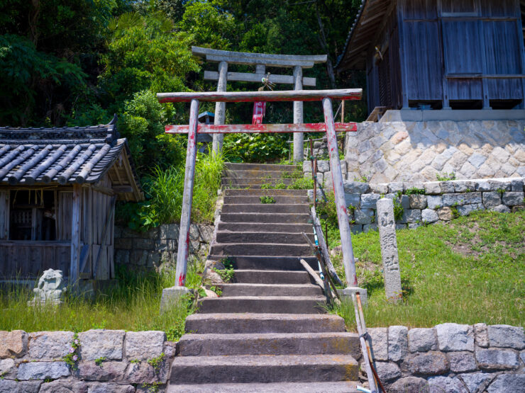 Tranquil Forest Torii Gate Temple