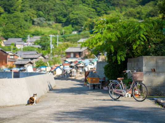 Peaceful Shishijima Street, Lush Greenery, Parked Bicycle