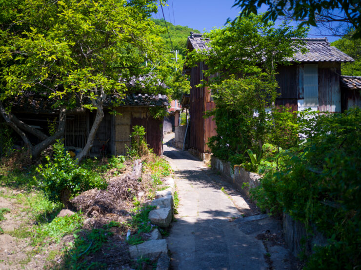 Shishijimas Secluded Island Path, Bathed in Serenity